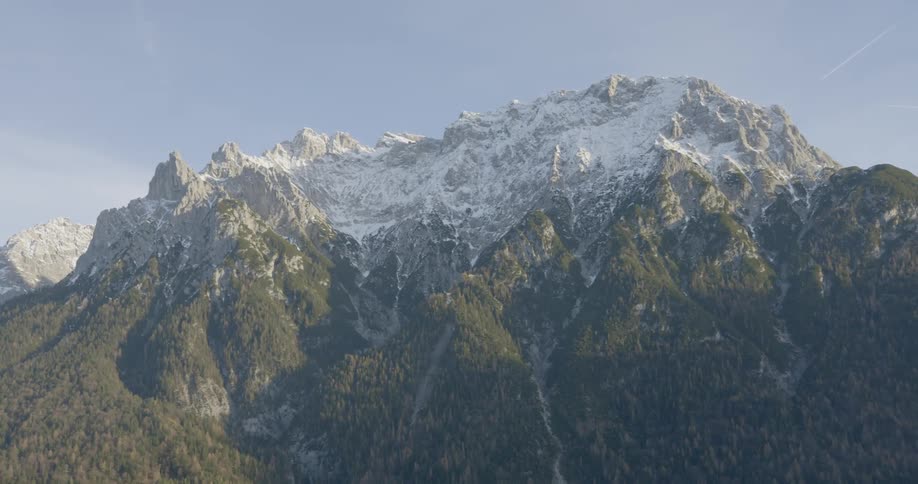 A large forest grows up the side of a mountain