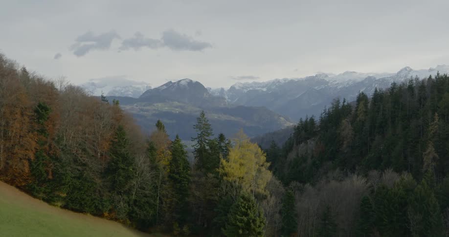 The hills covered with trees lead to mountains