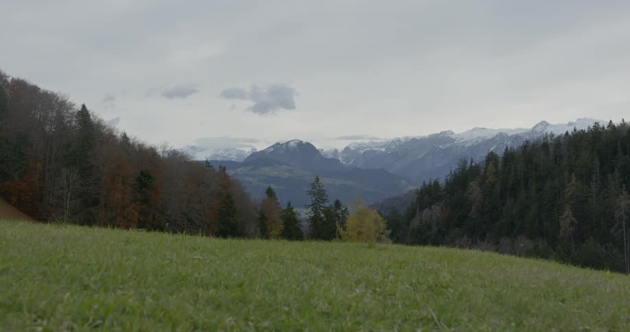 A green grass slope with forest trees and a mountain ridge on the horizon