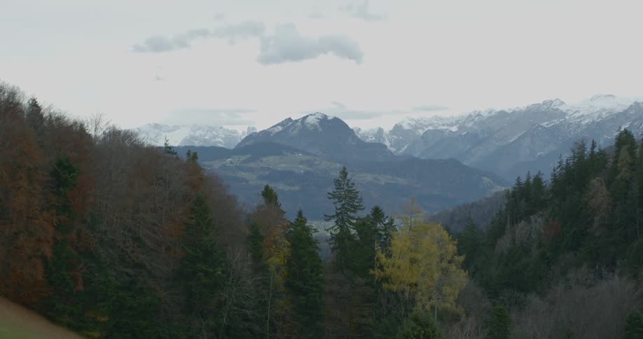 A towering mountain range is topped with snow as it stands tall behind a dense forest