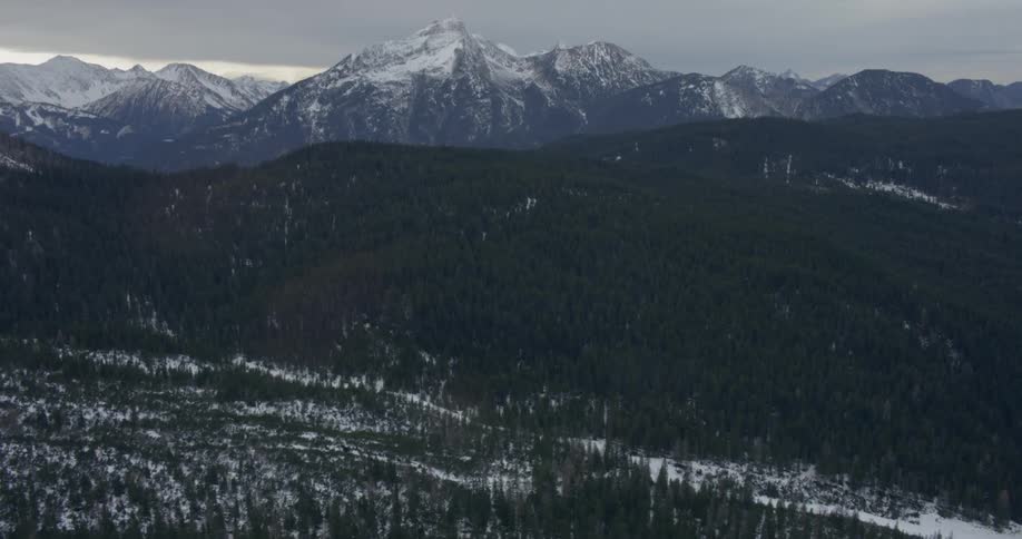 A dense forest surrounded by snow topped mountains and clouds