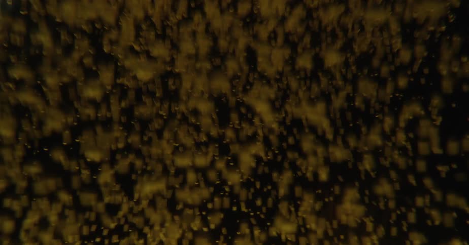 Abstract footage of bubbles in a dark liquid