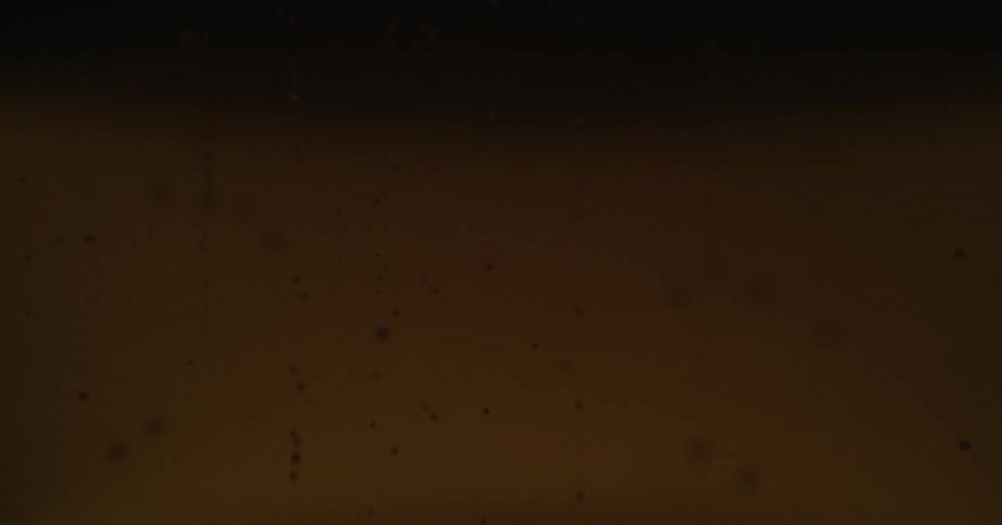 Carbonated bubbles float to the surface of a liquid