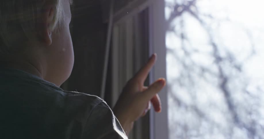 A person holding a baby shows it things outside a window during the day