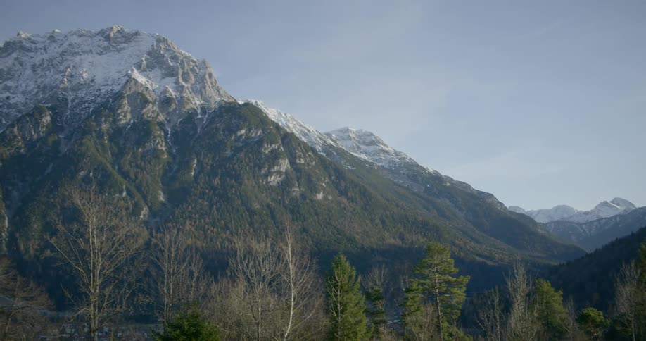 A grassy slope with trees with snow dusted rocky mountain peaks