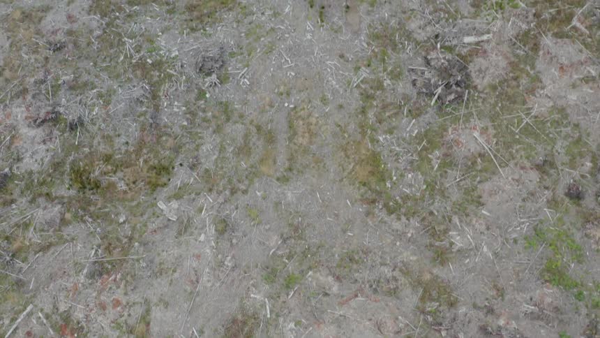 A dirt trail runs through a field of dead grass