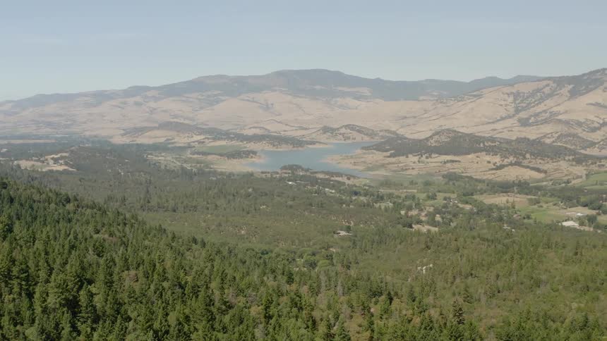 A large forest next to rolling hills and river
