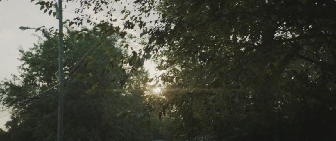 The sunlight shines through tree branches on a road with light posts and wires