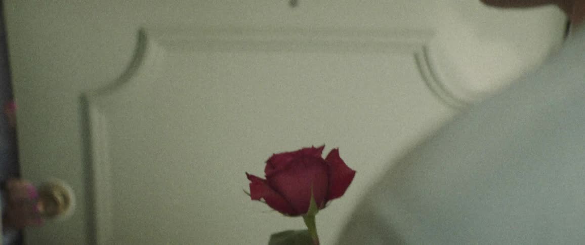 A man with a rose in his hand knocking on the door as a woman opens the door with a smile