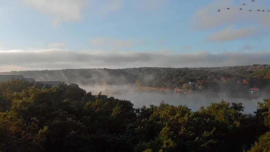 Dense fog covers a lake in the forest