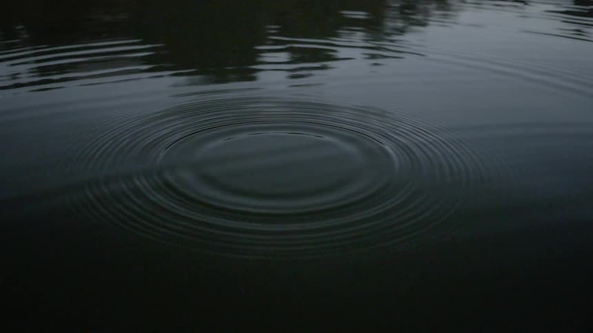 Drops of water are falling into the lake