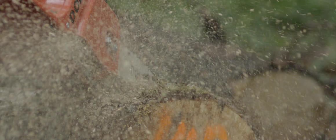 A chainsaw sprays sawdust while cutting a log