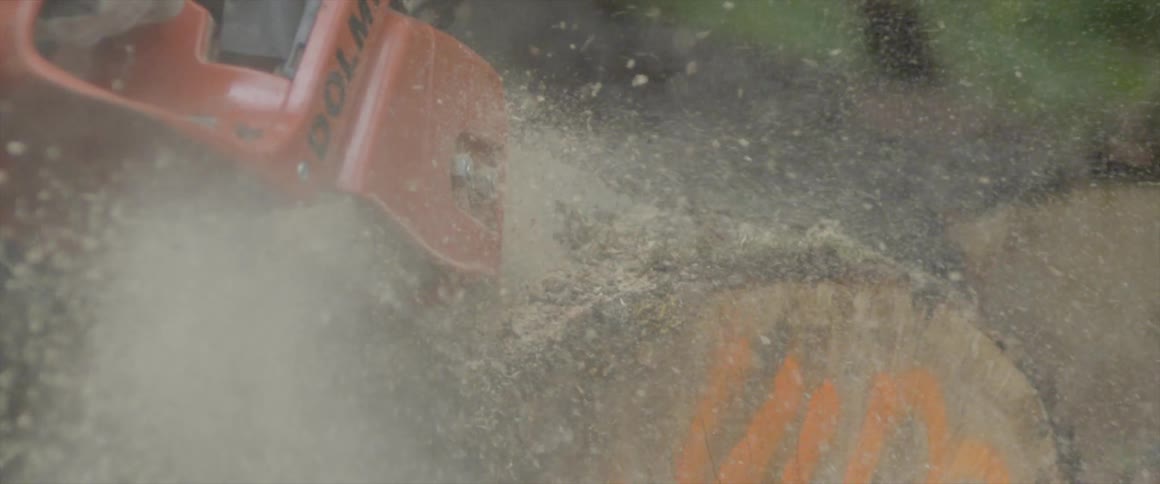 A chainsaw cutting trunk