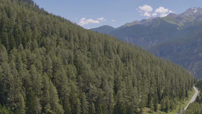 An aerial shot of a forest on a mountain