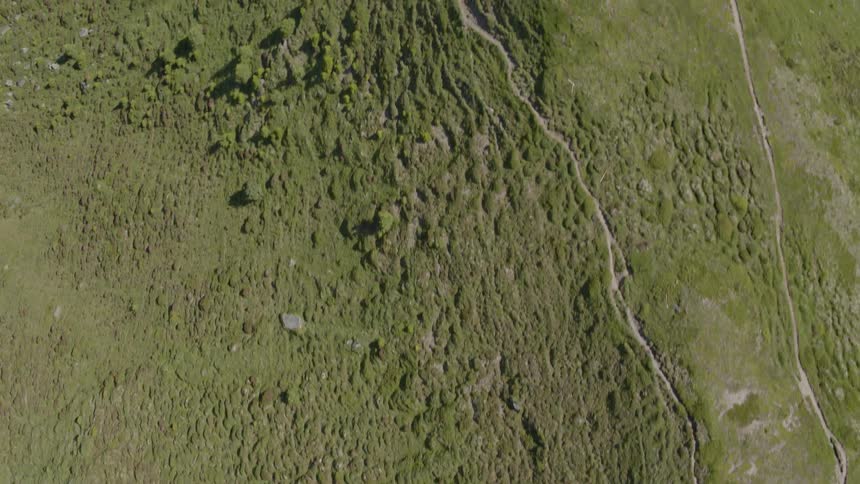 Trails over a hill