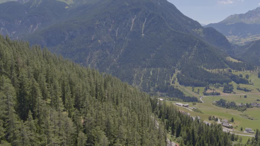 Aerial view of a forest road and mountains