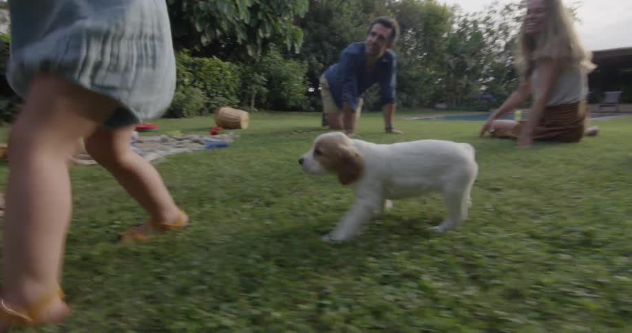 Family playing with puppies outdoors on the lawn