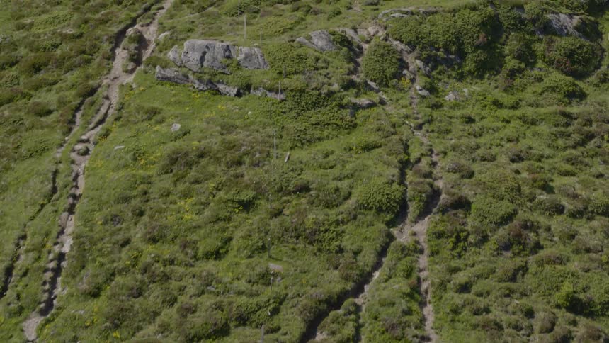 Birds eye view of grassy landscape