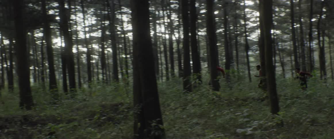 A group of man running in the forest