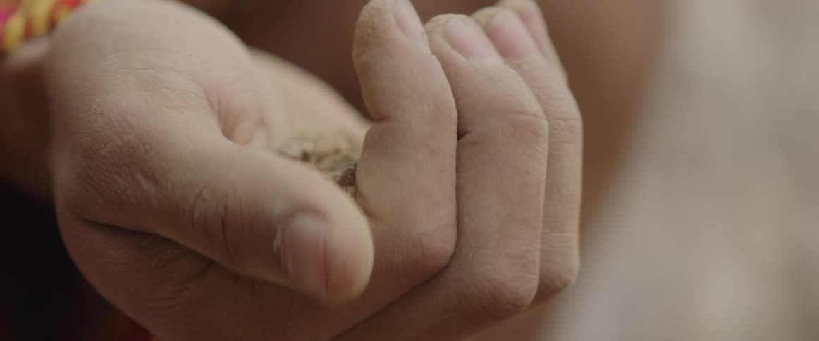 A person gripping dirt and letting it slip through their fingers