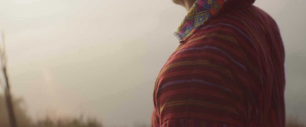 A man stands in a field and looks up toward the sky