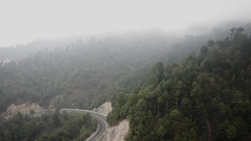 Aerial view of a road through the forest