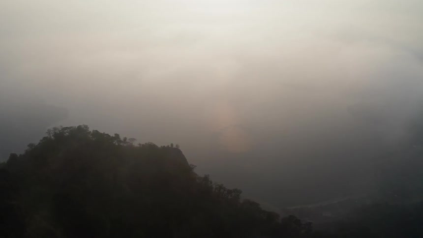 Tree covered hill overlooking waves coming to shore on a foggy day