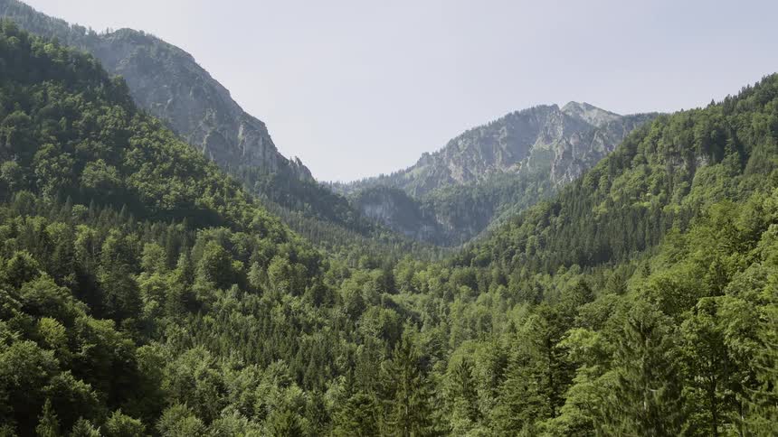 Passing over forest tree tops on slopes and valley with hills on the horizon
