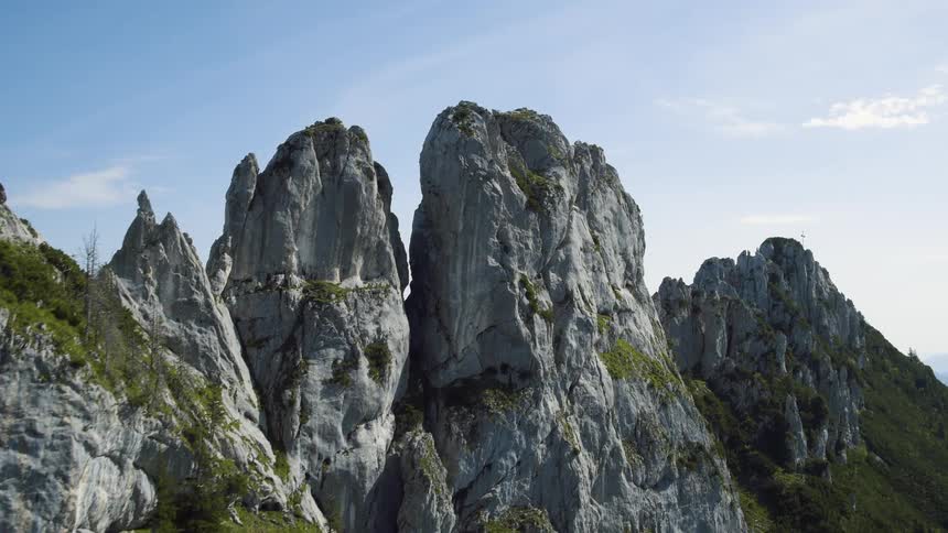 Moss grows on the side of a large cliff
