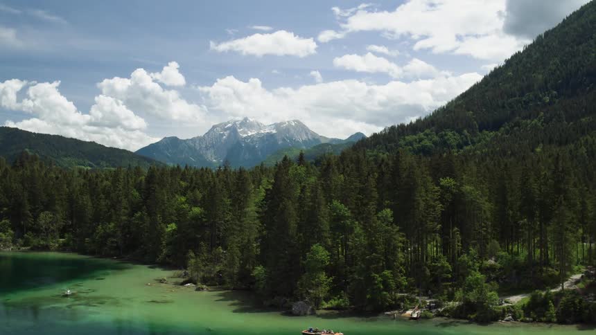 An aerial view of a fir forest