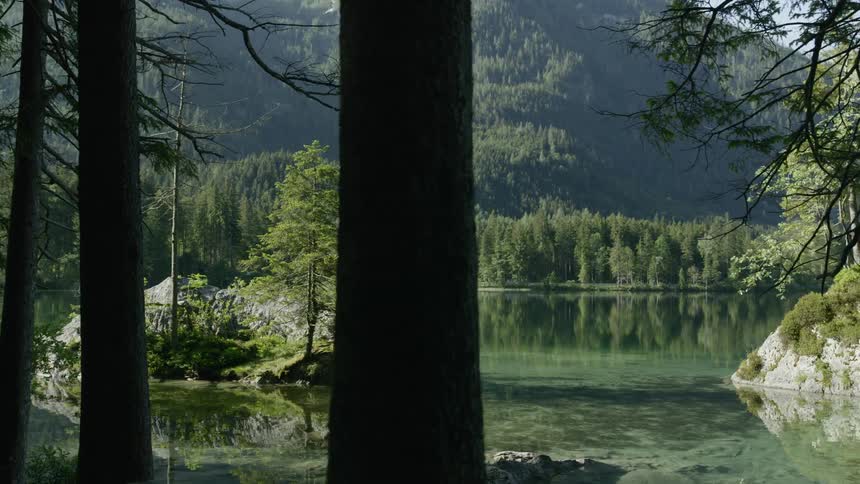 A swamp with trees in the background
