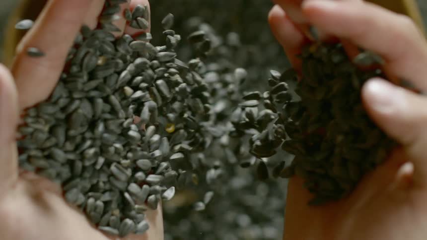 A hand throwing black seeds