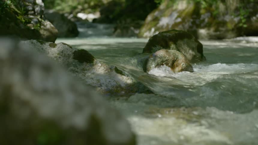 A scenery of a river water stream