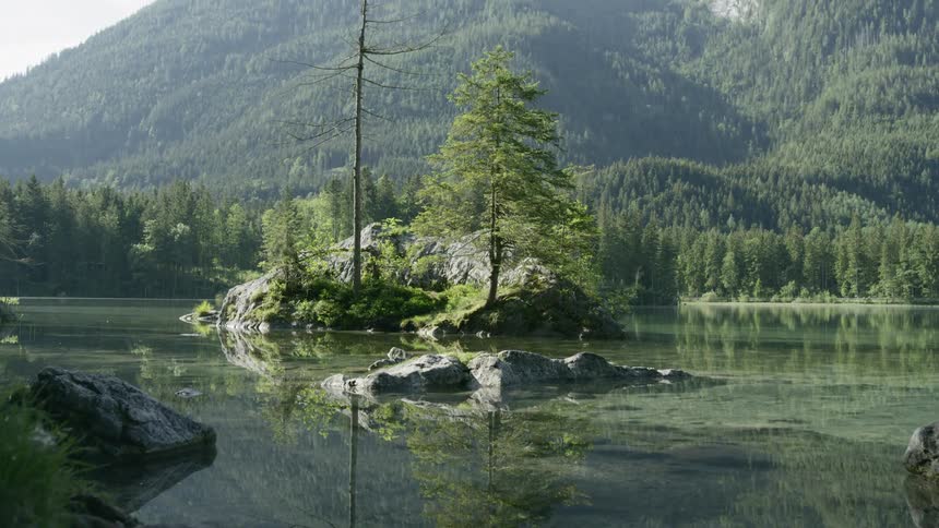 A scenery of a lake forest and mountain