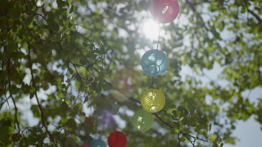 Colorful round paper lanterns are strung from a tree
