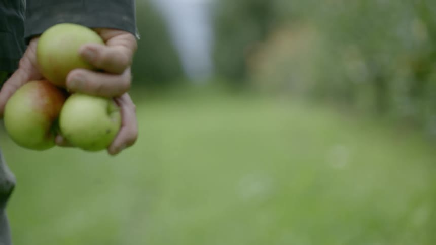 Man holding fruit in his hand