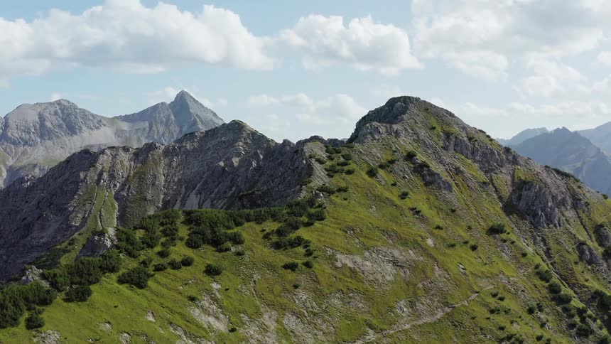 Landscape view of a moss covered mountain