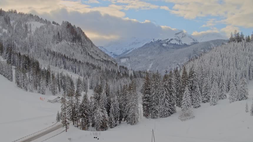 A mountain range is lined with dense forest and everything is coated in a thick layer of snow