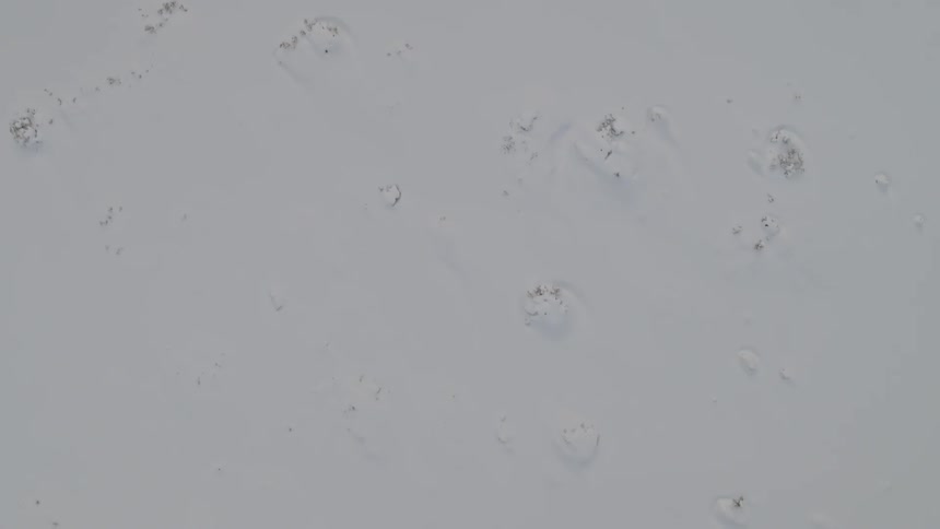 A view of a white snowy ground