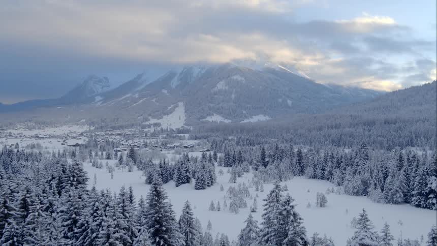 Trees and mountains are covered with a blanket of snow