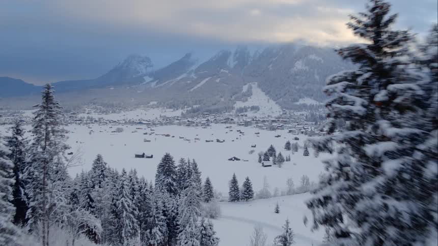 A forest covered in snow with mountains in the background