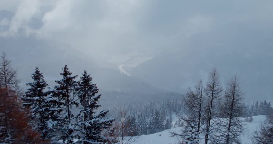 A snow covered forest in a mountainous region