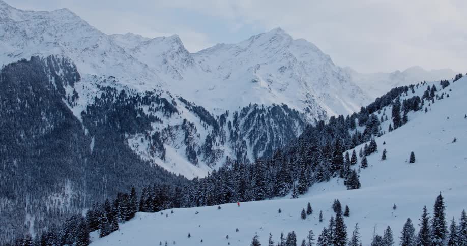 An aerial view of a snowy mountain and forest