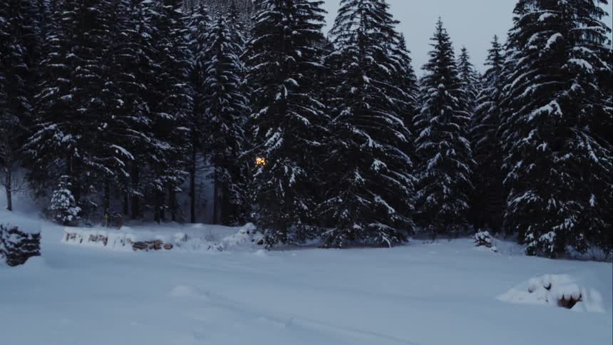 A glowing thing flying at the snowy forest
