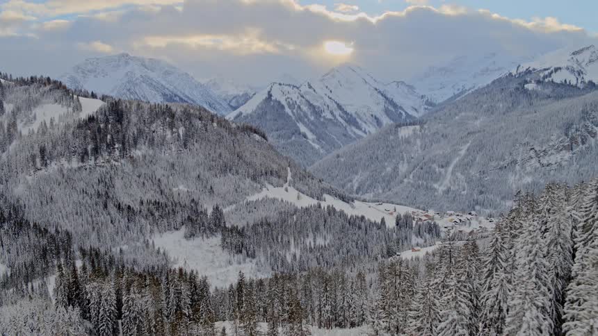 A snow covered forest in a mountainous region