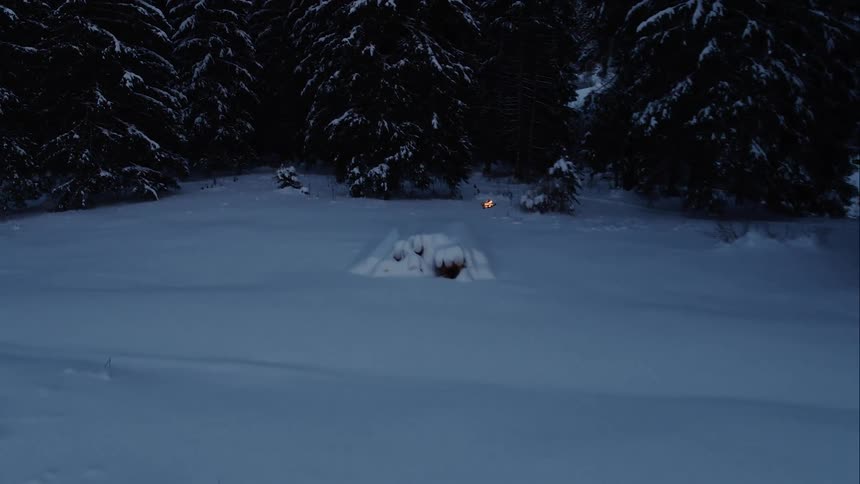 Illuminated drone flies over the snowy ground towards the snow covered trees