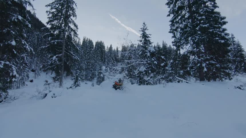 A child on a sled goes airborne near a forest