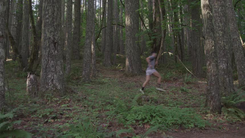 Man running through tall trees in the forest