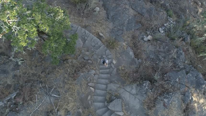 Man runs uphill in the forest