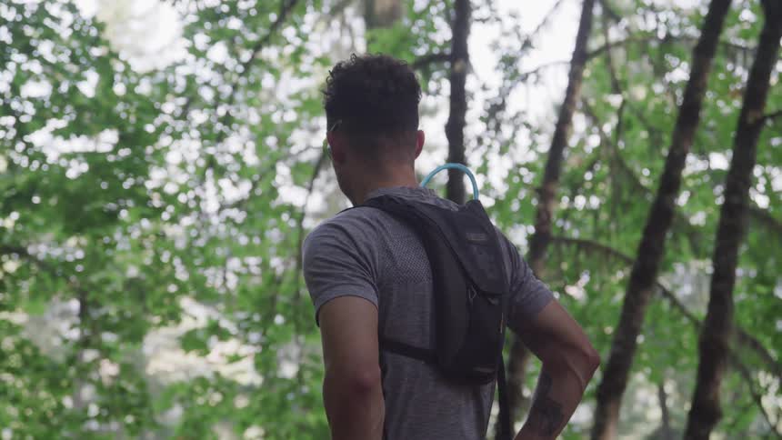 A hiker stops in a forest to look around